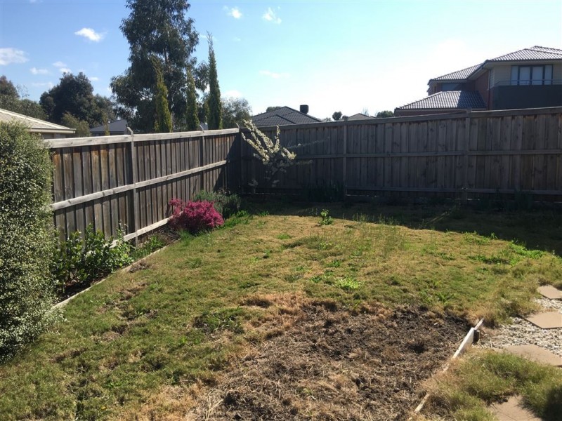 43 Riviera Drive, Berwick VIC 3806