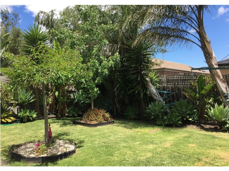 17 Glenn Erin Way, Berwick VIC 3806