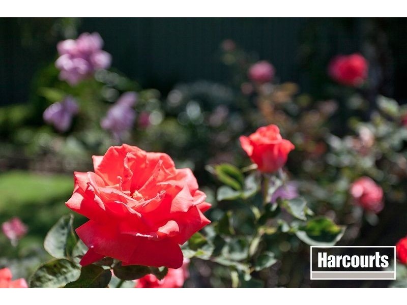 28 Mansfield Street, Berwick VIC 3806