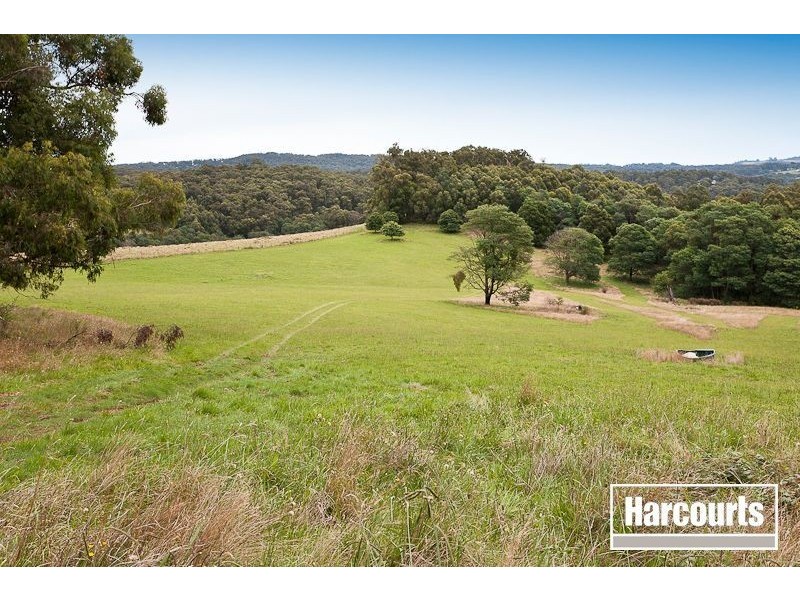 230 Mountain Road, Gembrook VIC 3783