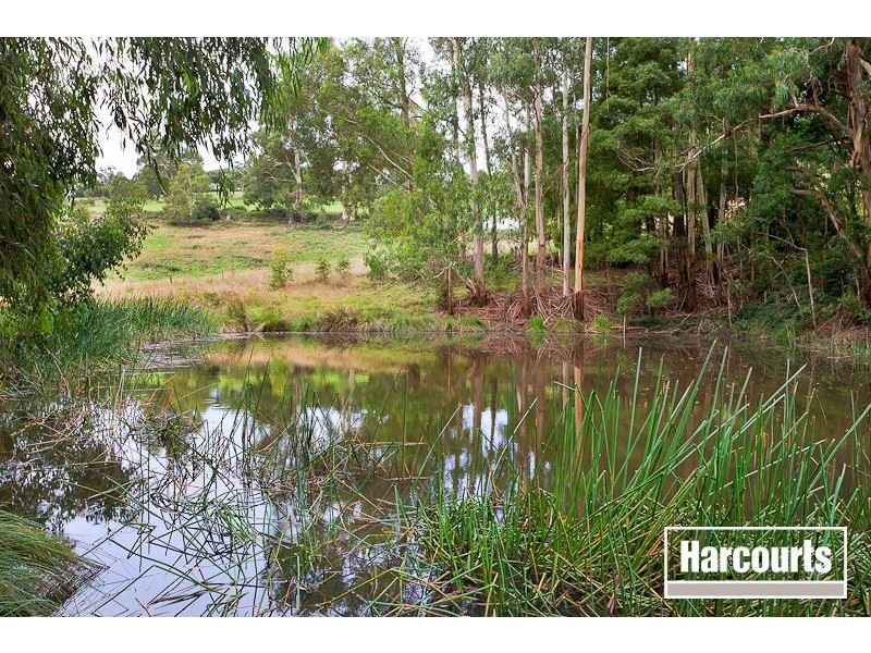 230 Mountain Road, Gembrook VIC 3783