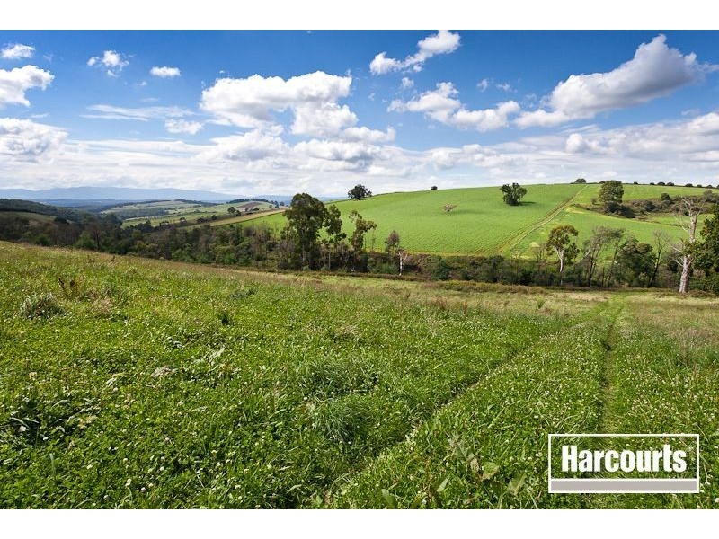 Lot 3/ 65 Ure Road, Gembrook VIC 3783