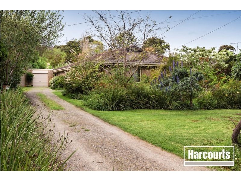 37 Scanlan Street, Berwick VIC 3806