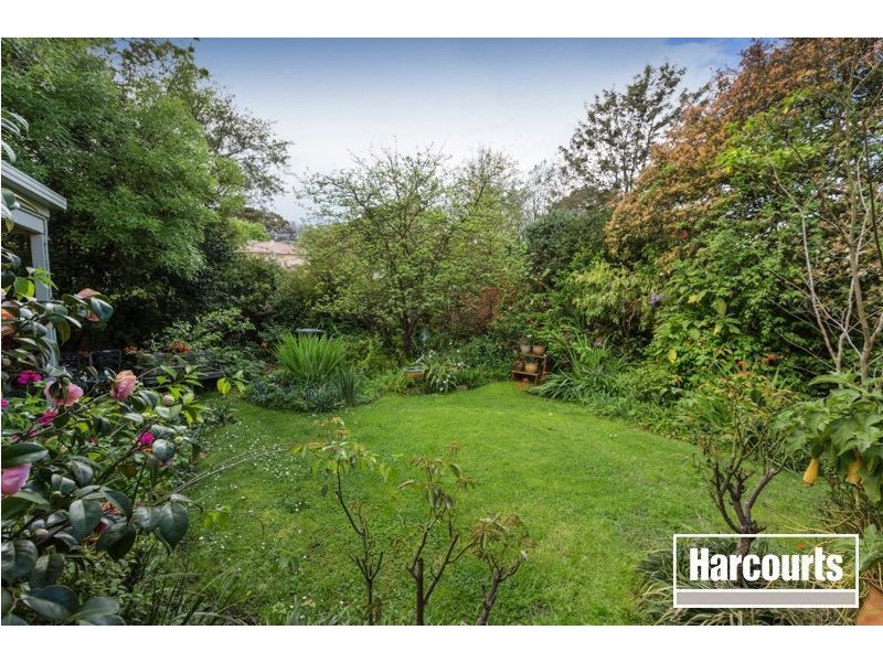 37 Scanlan Street, Berwick VIC 3806