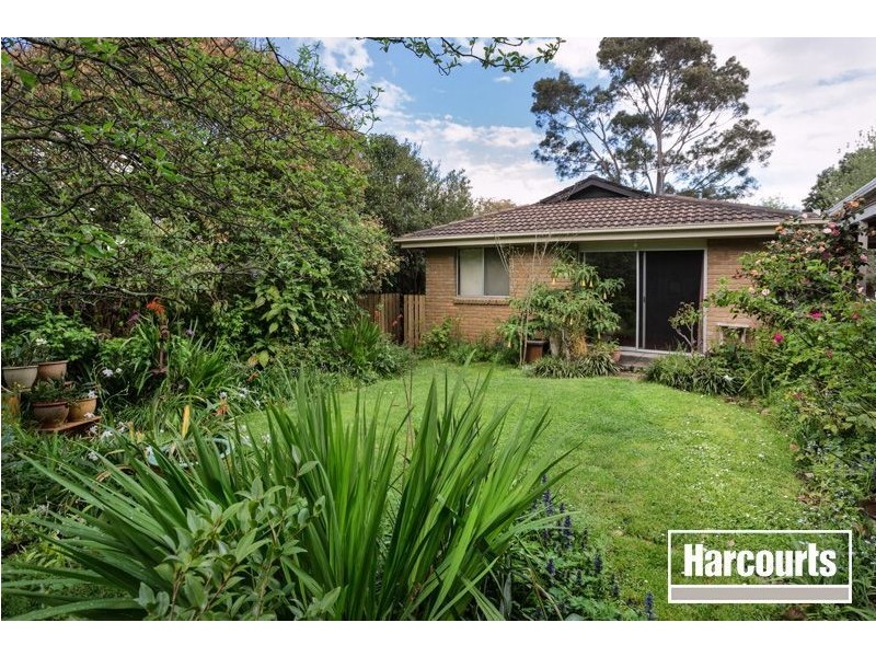 37 Scanlan Street, Berwick VIC 3806