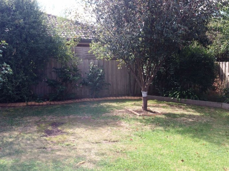 20 Fieldhouse Lane, Berwick VIC 3806