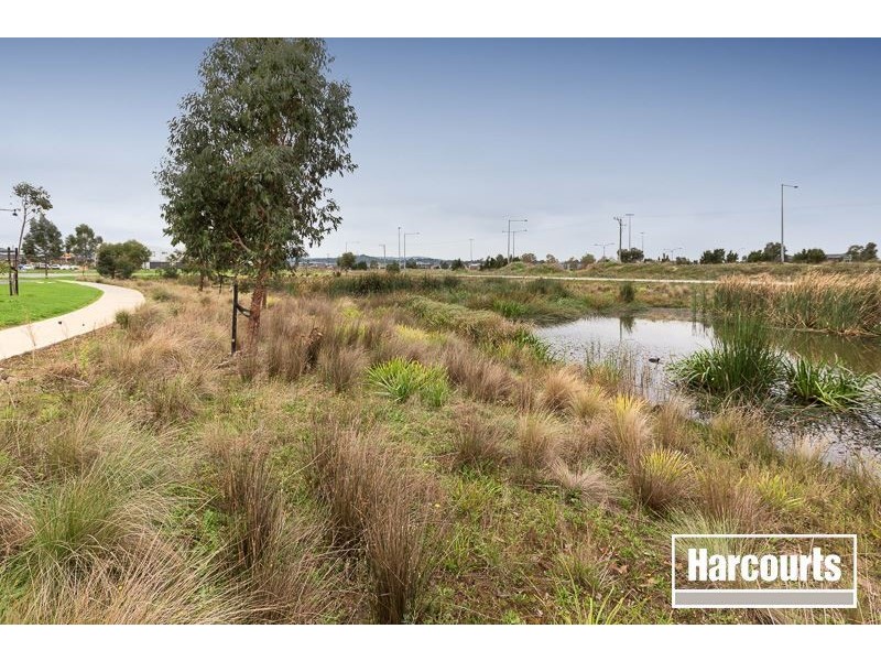 29 Rush Lilly Drive, Officer VIC 3809