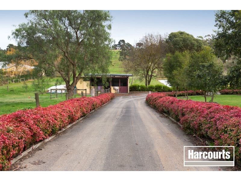 125 Quamby Road, Guys Hill VIC 3807