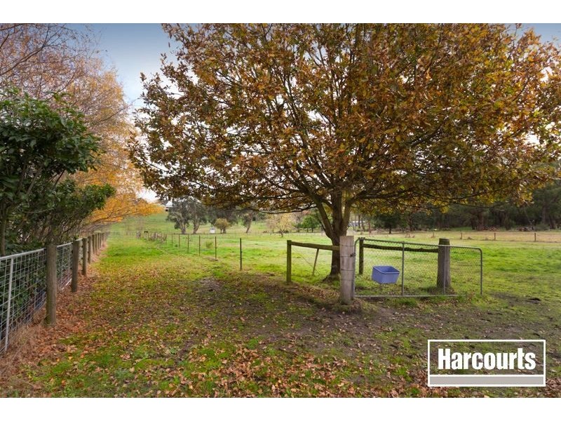 125 Quamby Road, Guys Hill VIC 3807