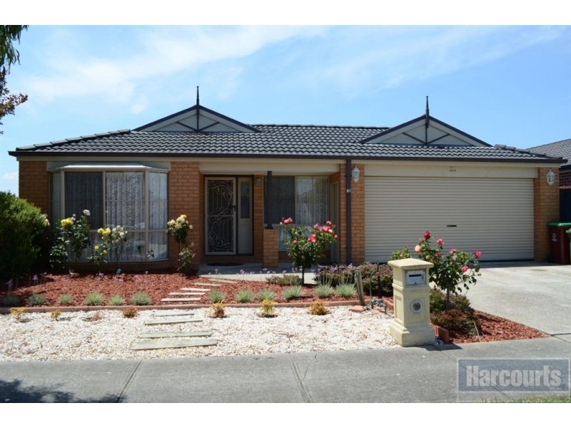 16 Robusta Avenue, Cranbourne VIC 3977