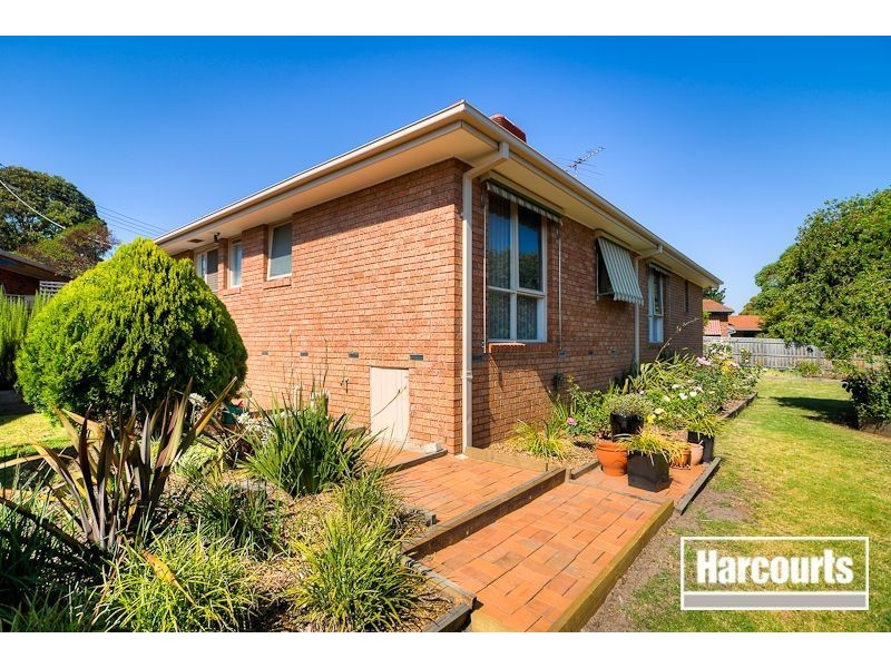 17 Pimmys Court, Skye VIC 3977