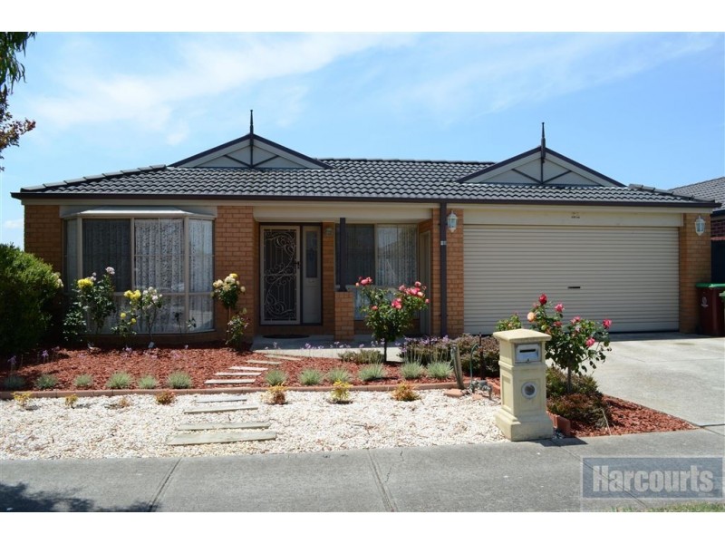 16 Robusta Avenue, Cranbourne VIC 3977