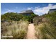 1/54 Gould Street, Frankston VIC 3199