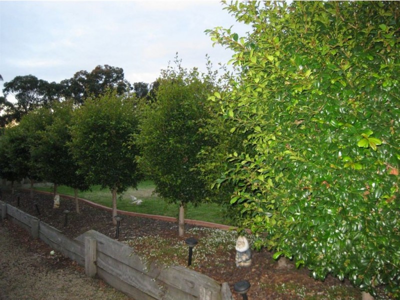 3 Dampier Close, Skye VIC 3977