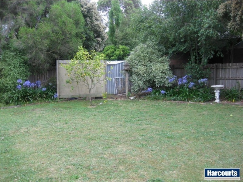 14 Pellita Way, Langwarrin VIC 3910