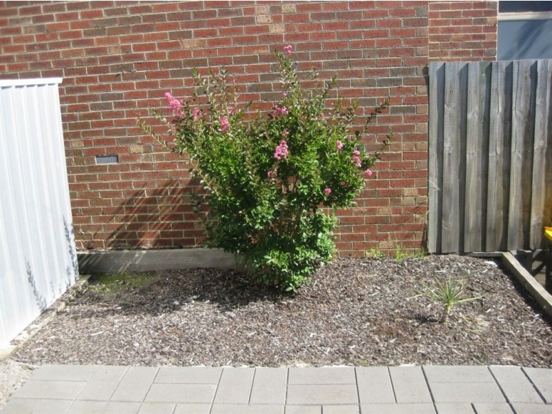 14/43 Cadles Road, Carrum Downs VIC 3201