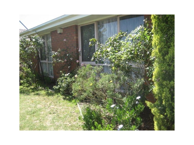 159 Hall Road, Carrum Downs VIC 3201