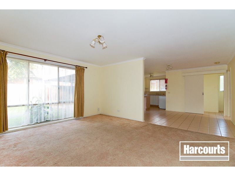 41 Darnley Drive, Skye VIC 3977