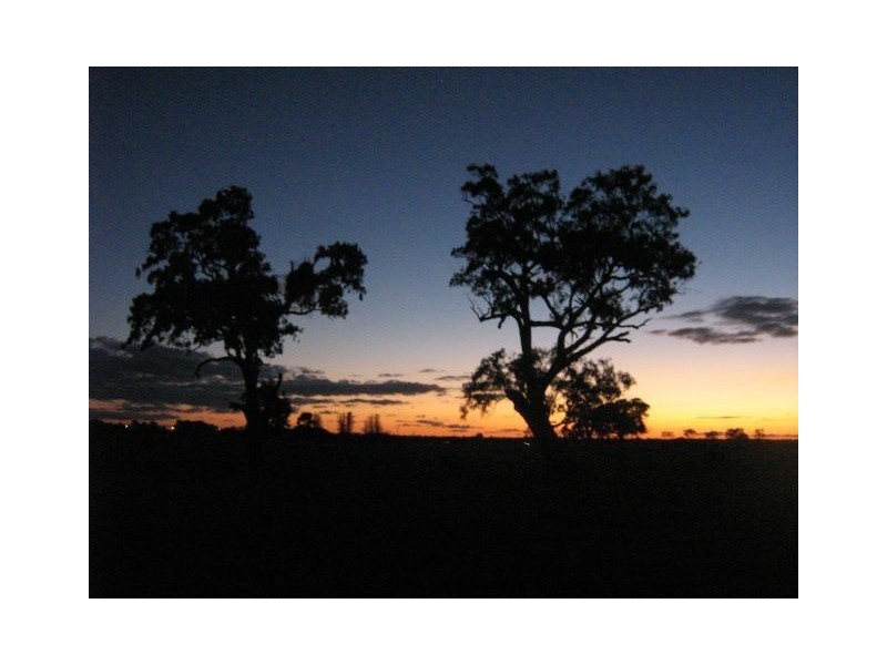 41 Galilee Drive, Sandhurst VIC 3977