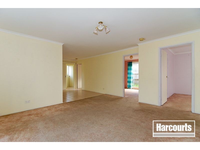 41 Darnley Dve, Skye VIC 3977