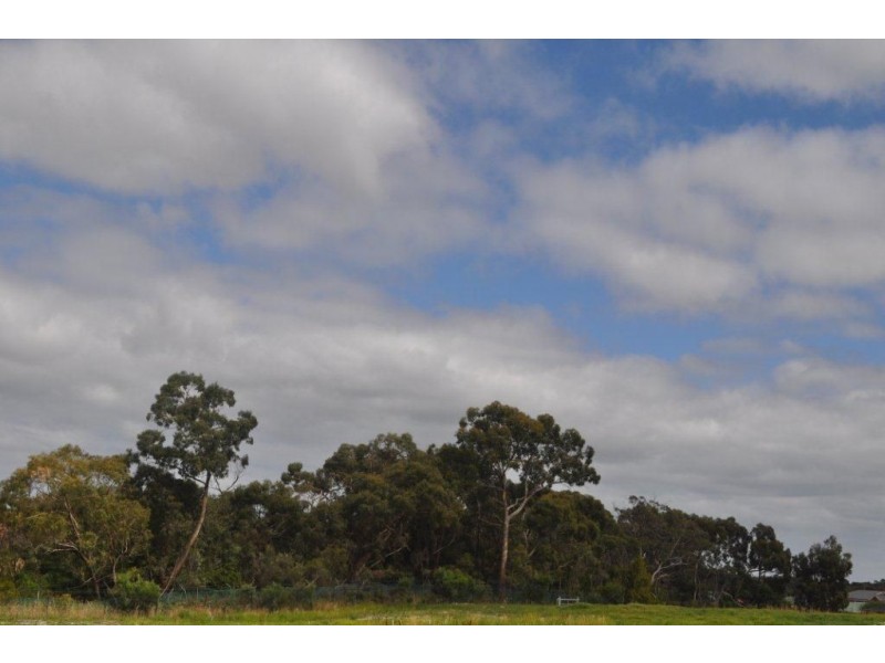 4 Serene Court, Langwarrin VIC 3910