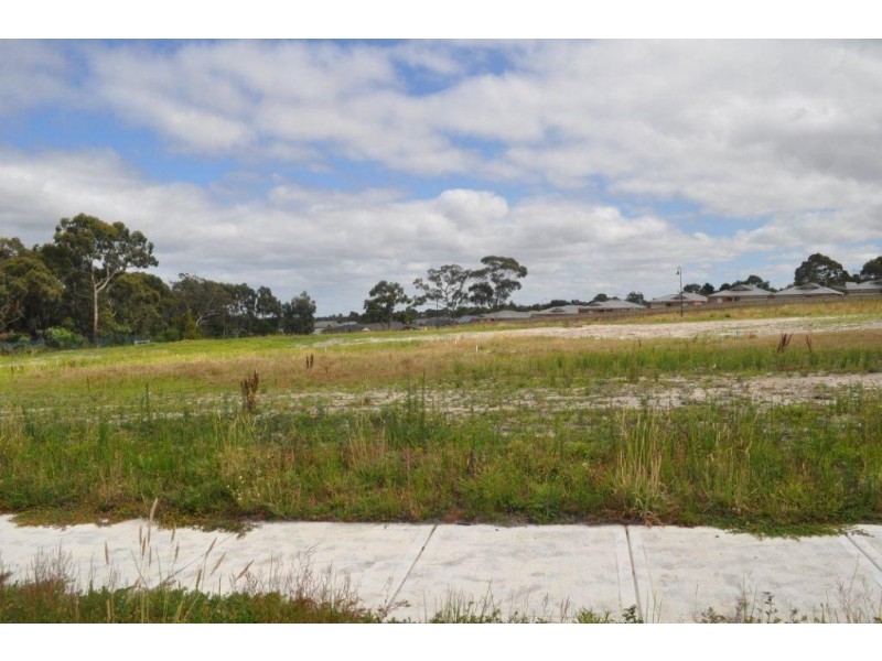 4 Serene Court, Langwarrin VIC 3910