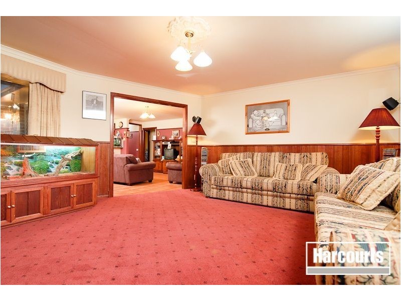 14 Friuli Place, Skye VIC 3977