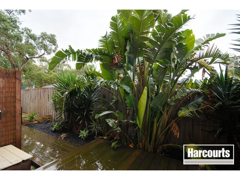 3a Ella Paige Place, Carrum Downs VIC 3201