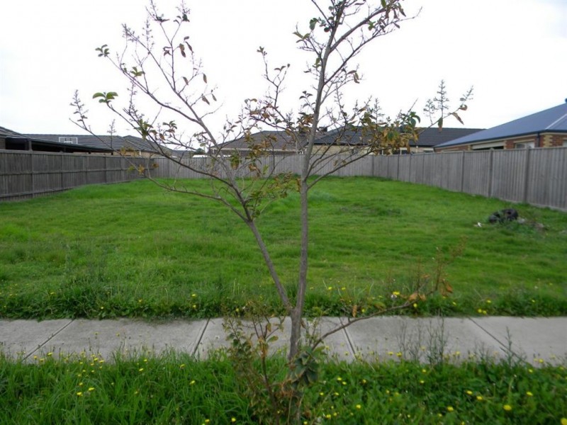 40 Westmoreland Avenue, Cranbourne North VIC 3977