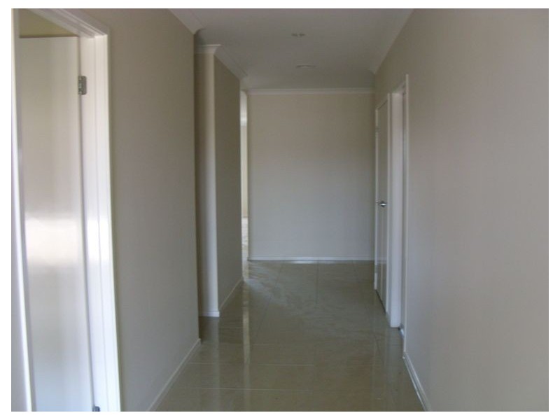 16 Merrowland Avenue, Cranbourne West VIC 3977