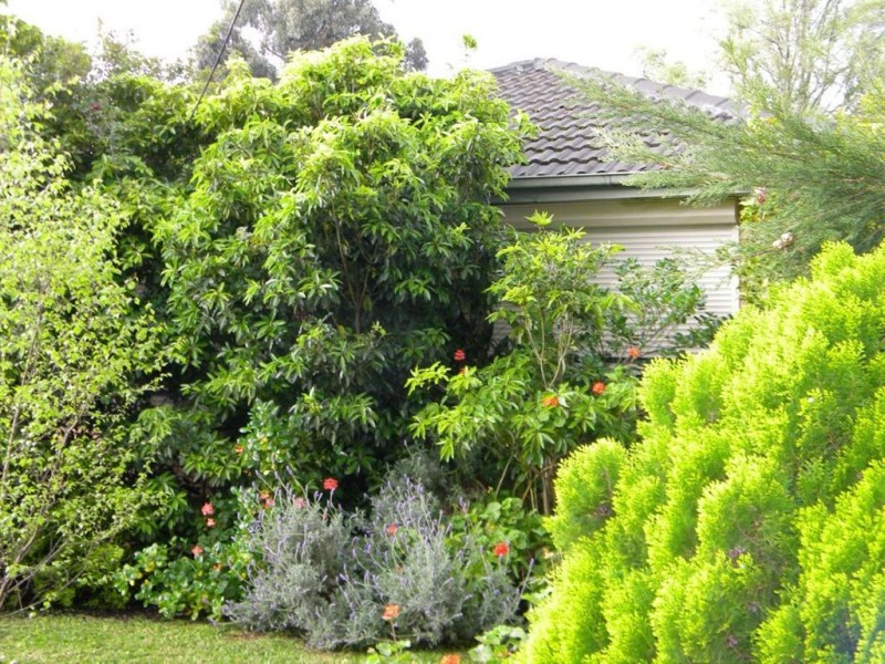 28 Harry Street, Cranbourne VIC 3977