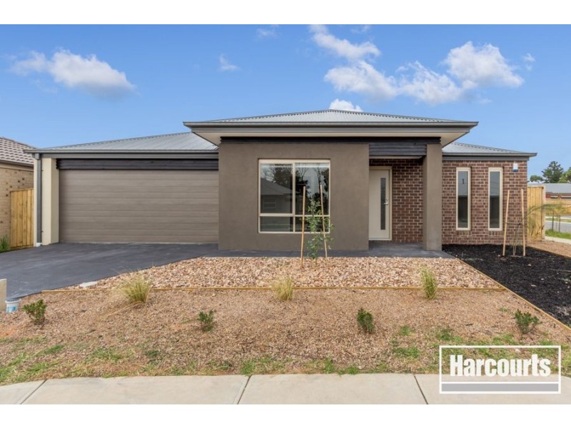 61 Tamara Circuit, Langwarrin VIC 3910