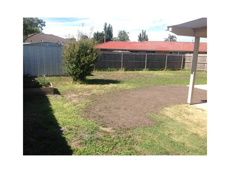 14 Willora Crescent, Cranbourne VIC 3977