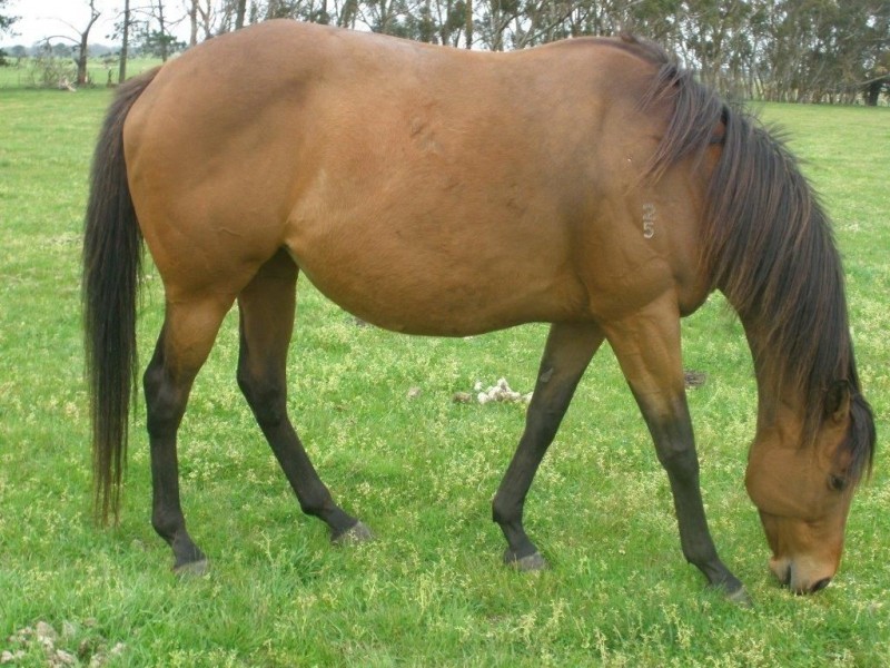 130 Number  Seven Drain Road, Bayles VIC 3981