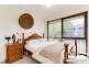 171 Warrandyte Road, Langwarrin VIC 3910