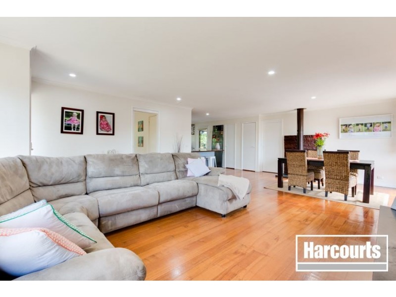 19 Seagull Close, Blind Bight VIC 3980