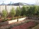 24 Baddeley Circuit, Cranbourne North VIC 3977