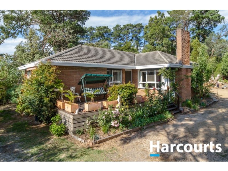 Cranbourne South VIC 3977