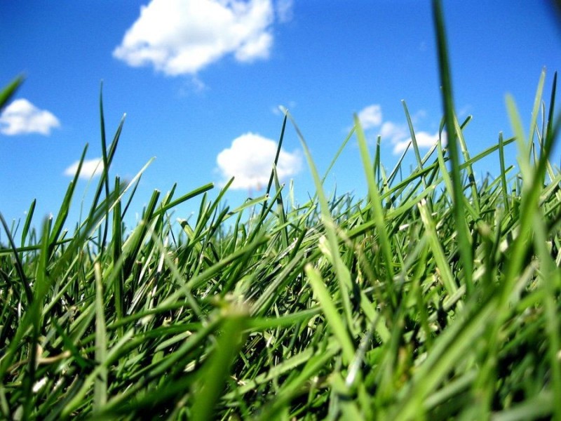 Clyde North VIC 3978