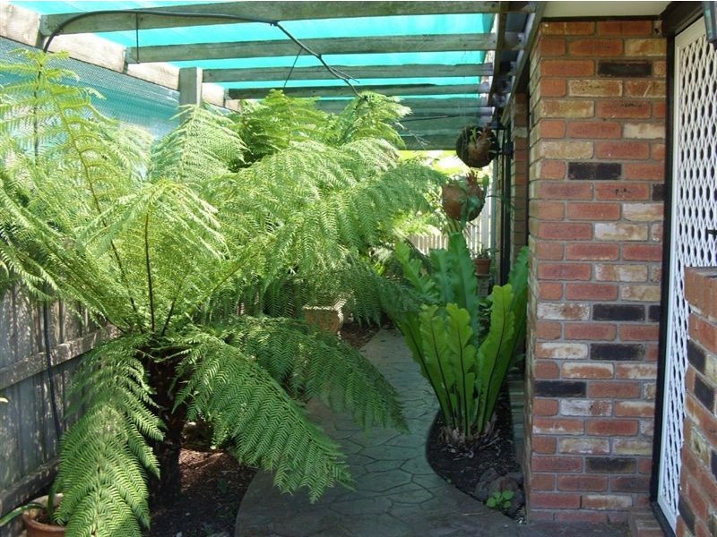 12 Fulmar Street, Carrum Downs VIC 3201