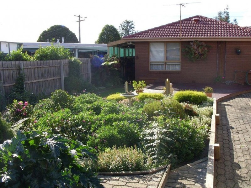 36 Cochrane Street, Cranbourne VIC 3977