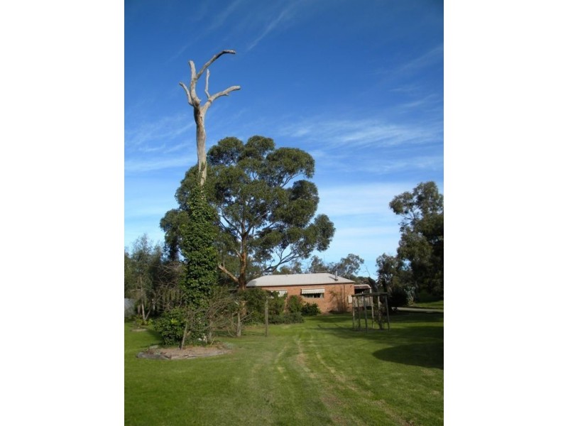 16 Currawong Grove, Cannons Creek VIC 3977