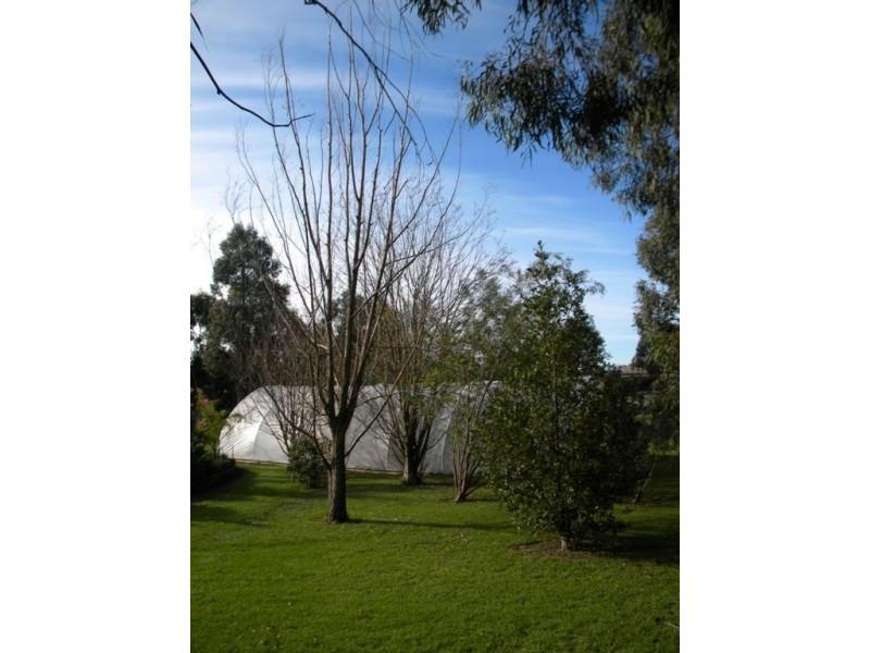 16 Currawong Grove, Cannons Creek VIC 3977