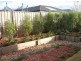 24 Baddeley Circuit, Cranbourne North VIC 3977