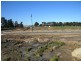 137 Longbow Terrace, Cranbourne North VIC 3977