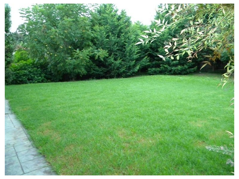 31 Elizabeth Street, Cranbourne North VIC 3977