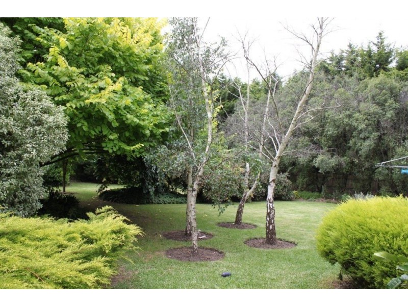 7 Eric Court, Pearcedale VIC 3912