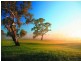 Lot 1308 Warrego Circuit, Sandhurst VIC 3977