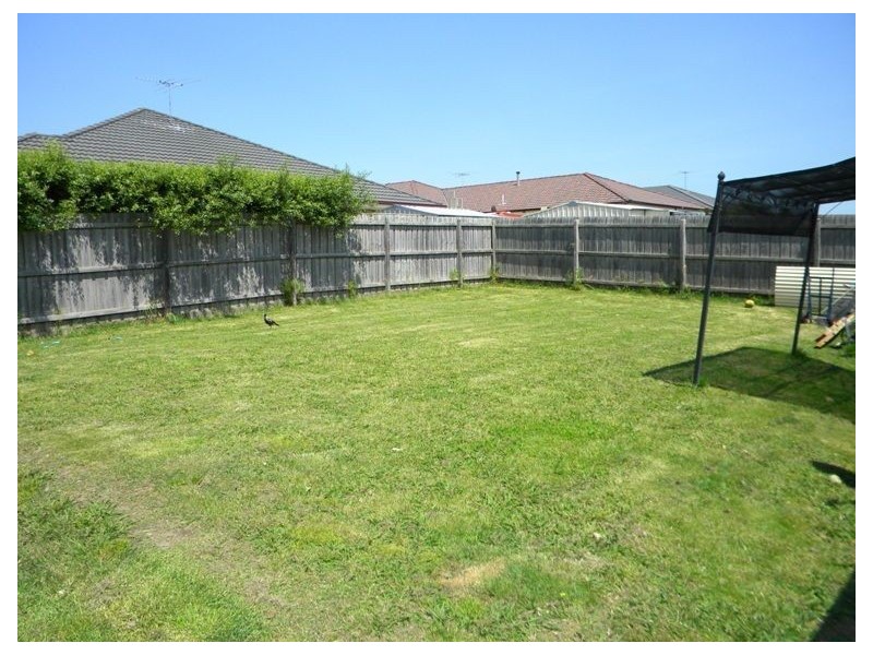 6 Blainroe Crescent, Cranbourne VIC 3977