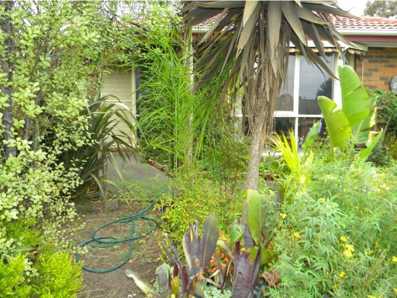 4 Strafford Avenue, Cranbourne VIC 3977